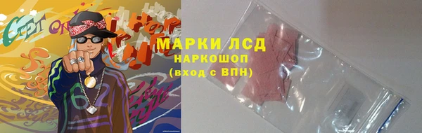 ПСИЛОЦИБИНОВЫЕ ГРИБЫ Верхнеуральск